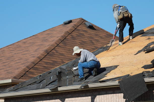 Best Green or Eco-Friendly Roofing Solutions  in Union, SC